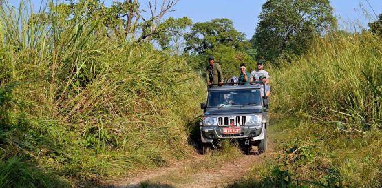 Národní park Chitwan - Jeep safari