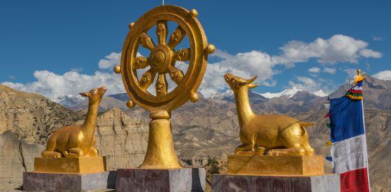 Trek do Tibetského Mustangu