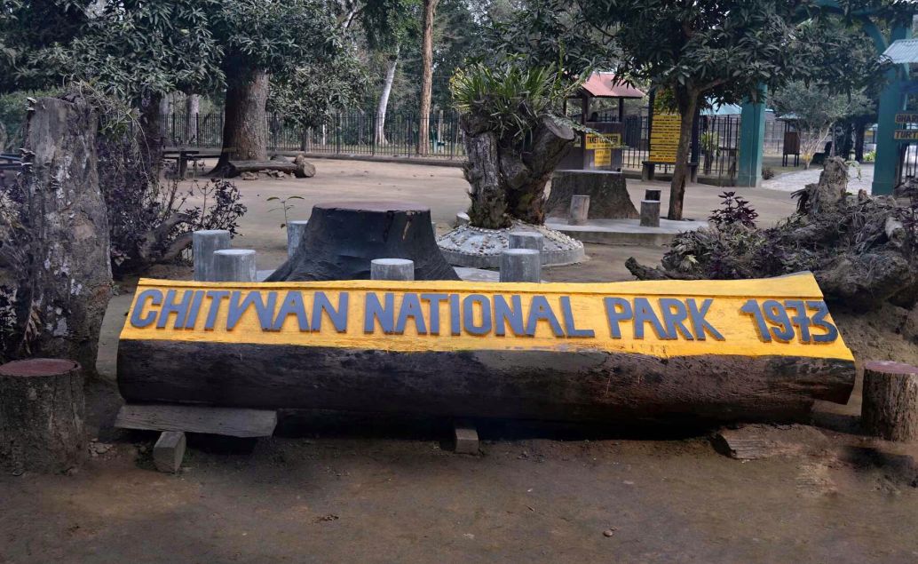 Nosorožci v Národním parku Chitwan